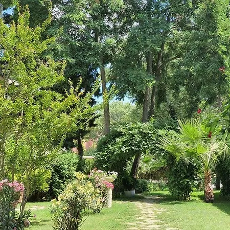 Riva -