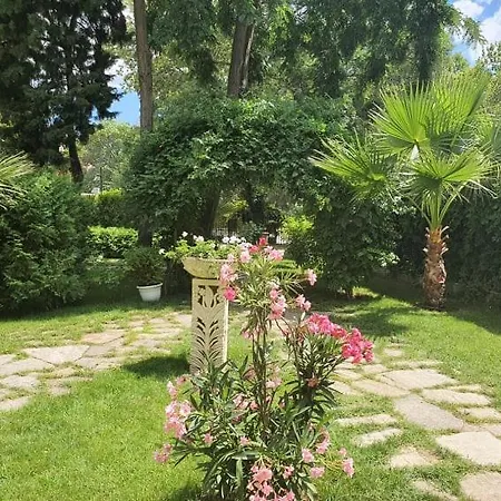 Riva 3*