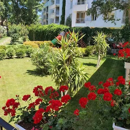 Riva Szálloda Napospart