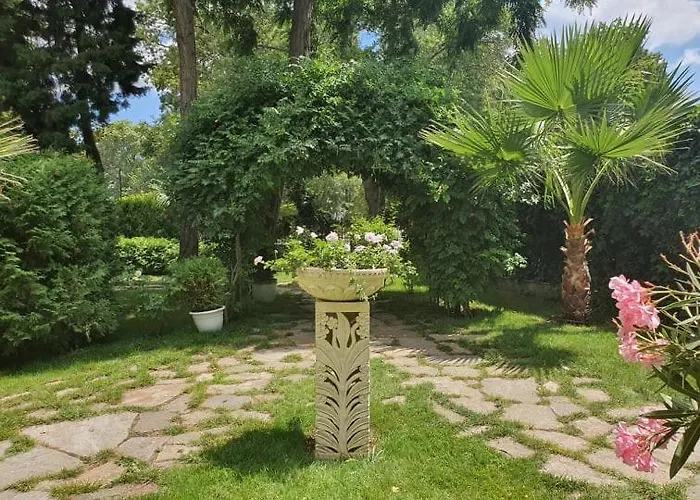 Riva 3* Słoneczny Brzeg